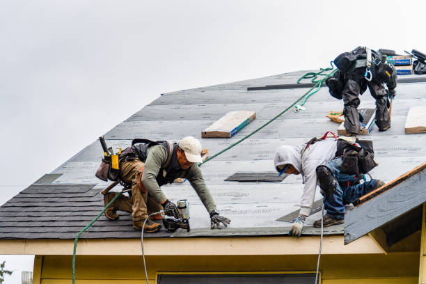 Professional Gutter Installation technician working in Villa Ridge, MO